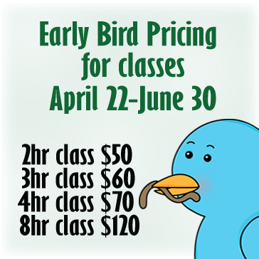 Early Bird Pricing